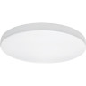 Накладной светильник LIGHTSTAR Arco 225262
