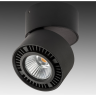 Светильник накладной LIGHTSTAR FORTE MURO 213817