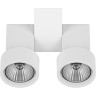 Светильник накладной LIGHTSTAR Illumo X2 51036
